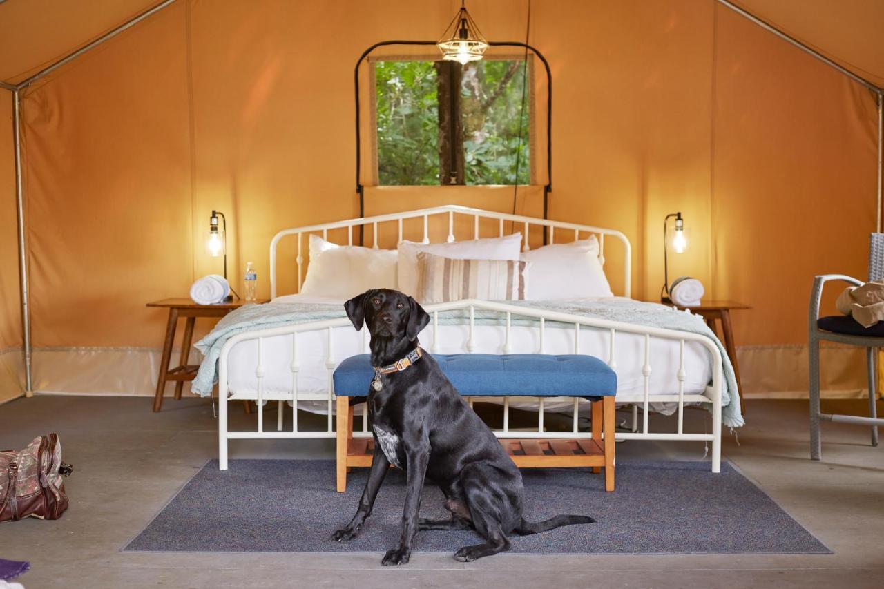Pacific Dunes Resort Copalis Beach Екстериор снимка